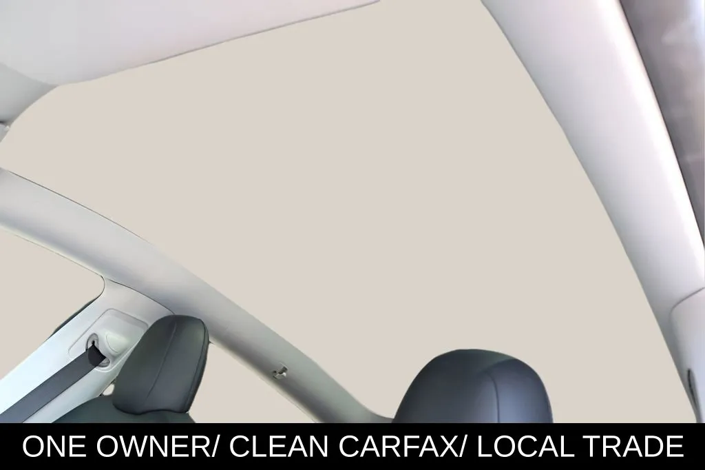 Tesla Model Y photo 12