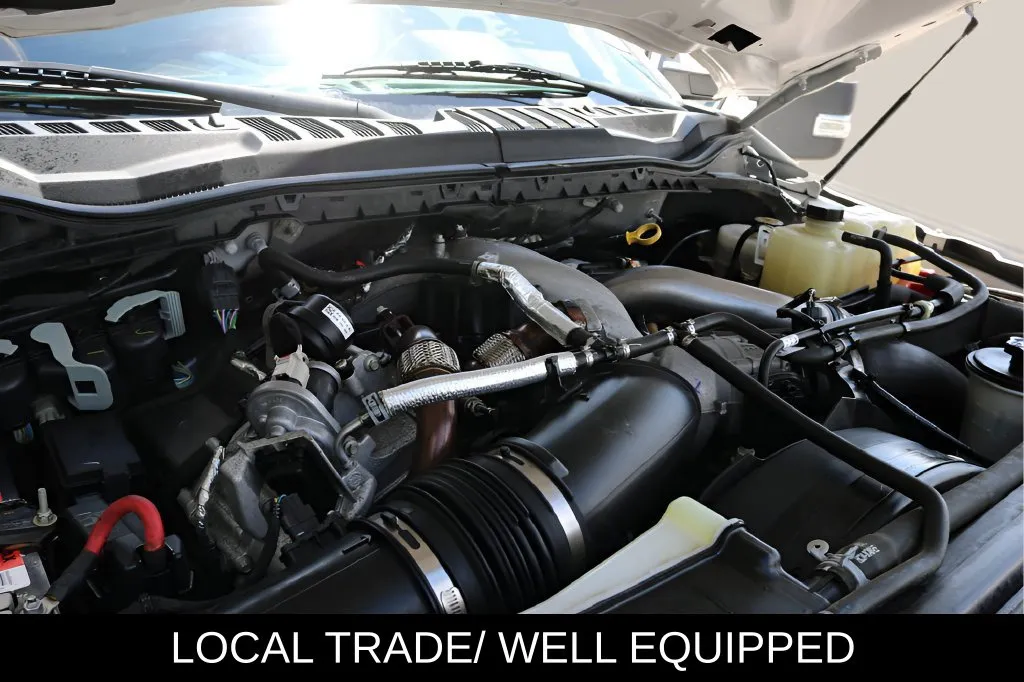Ford F-250SD photo 10
