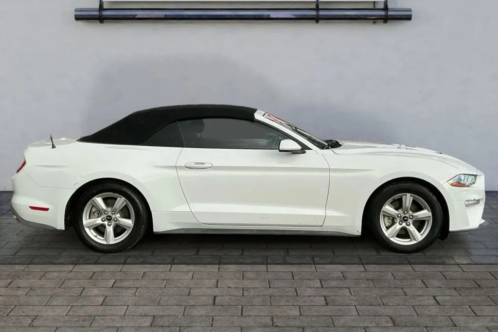 Another view of 2019 Ford Mustang EcoBoost Convertible 2D for sale in Greeley, CO at Drive N-Motion Greeley
