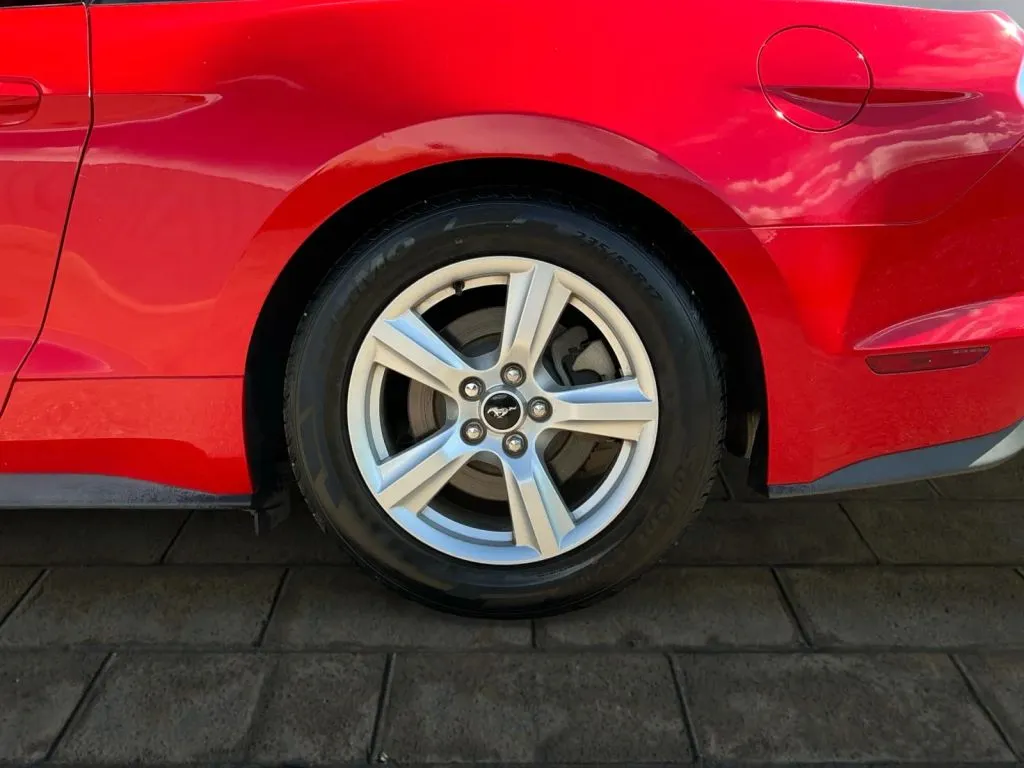 Ford Mustang photo 16