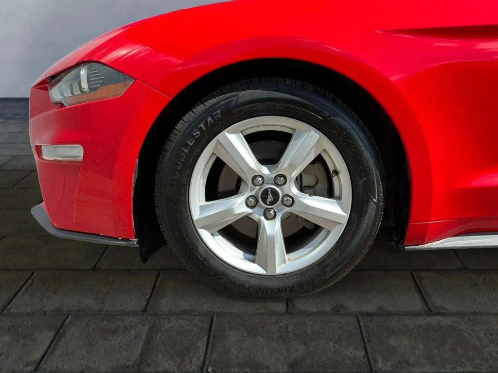 Ford Mustang photo 23