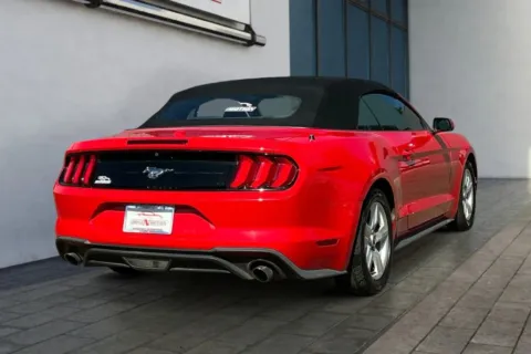 More photos of 2019 Ford Mustang EcoBoost Convertible 2D at Drive N-Motion Greeley, CO