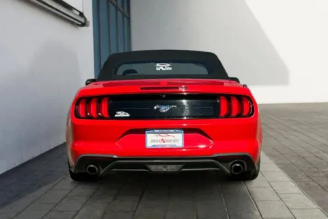 More photos of 2019 Ford Mustang EcoBoost Convertible 2D at Drive N-Motion Greeley, CO