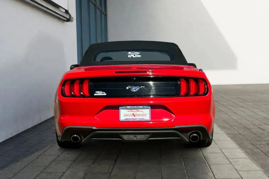 More photos of 2019 Ford Mustang EcoBoost Convertible 2D at Drive N-Motion Greeley, CO