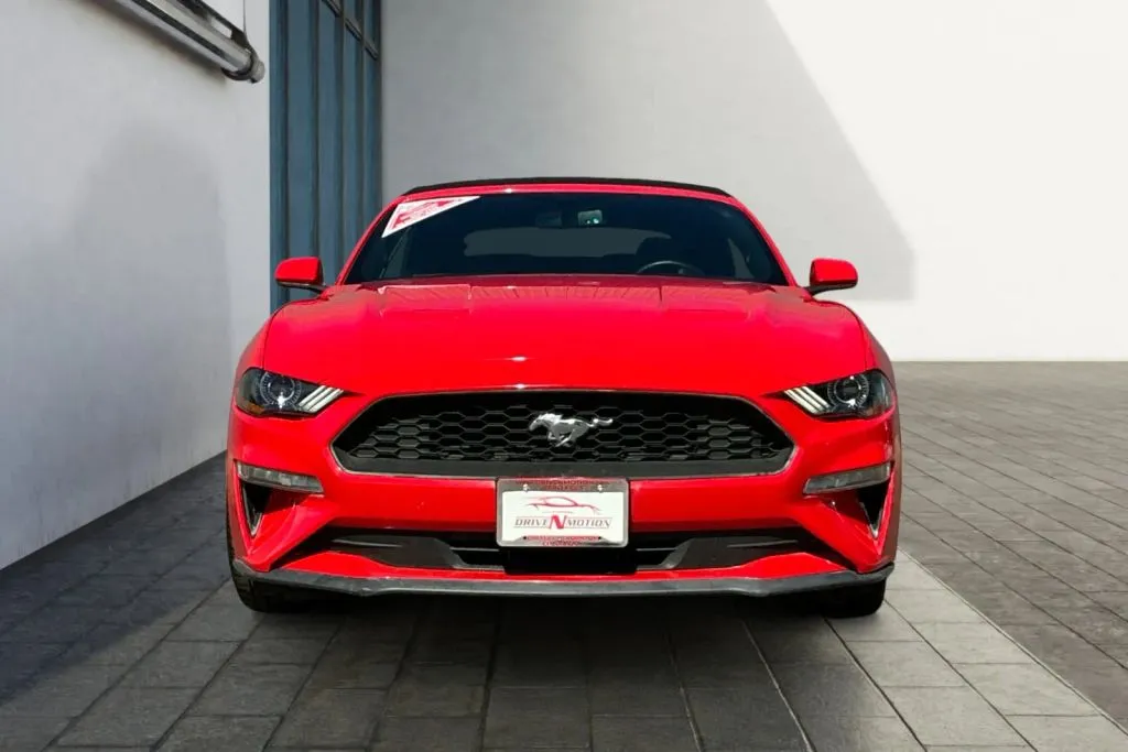 Ford Mustang photo 8