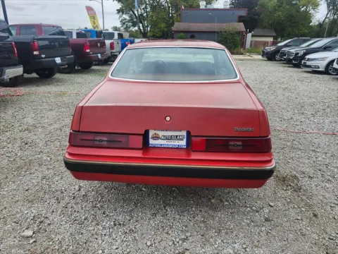 More photos of 1984 Ford Thunderbird at Auto Island, IN