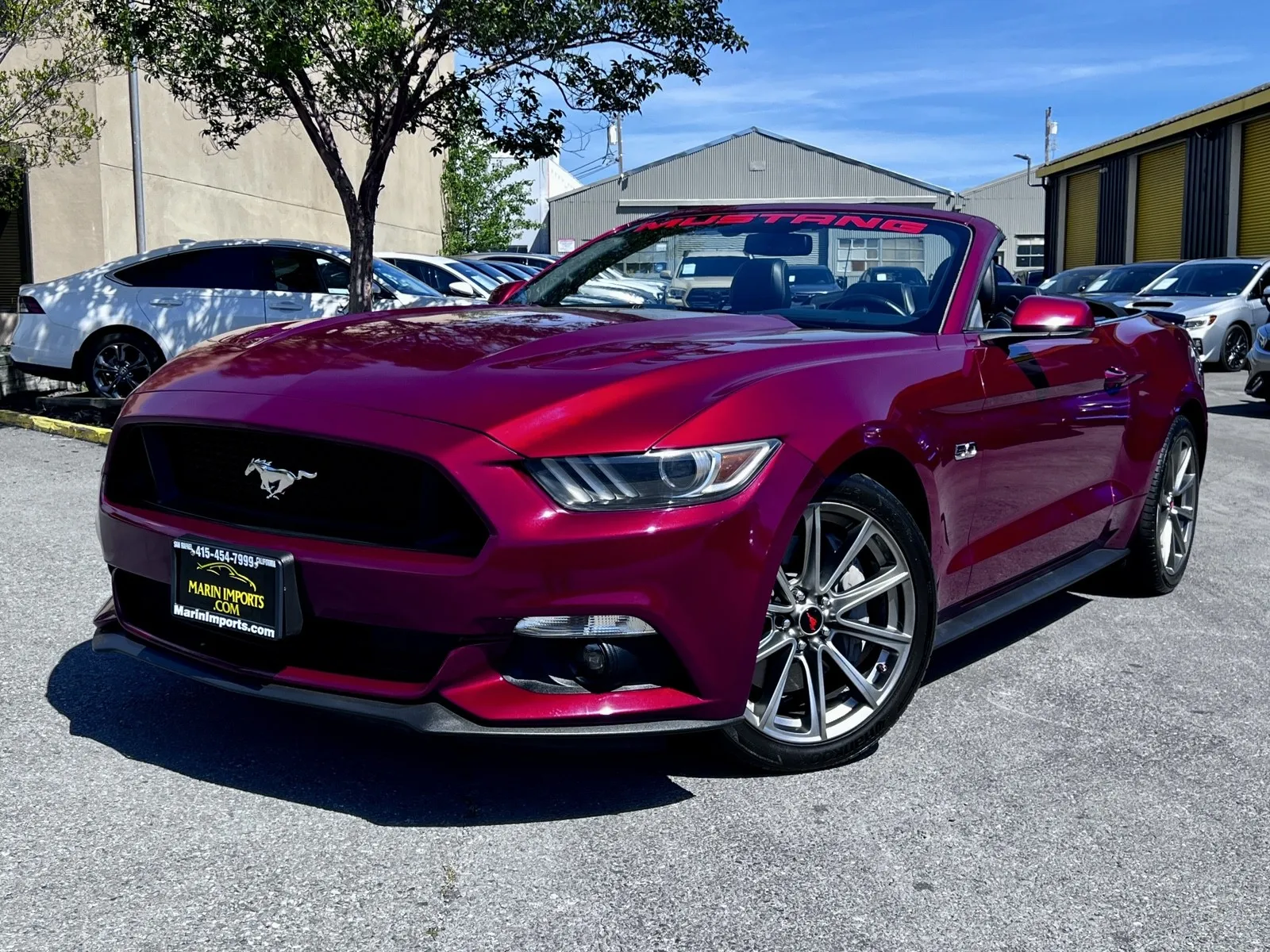 Photos of 2016 Ford Mustang GT Premium for sale in San Rafael, CA at Marin Imports