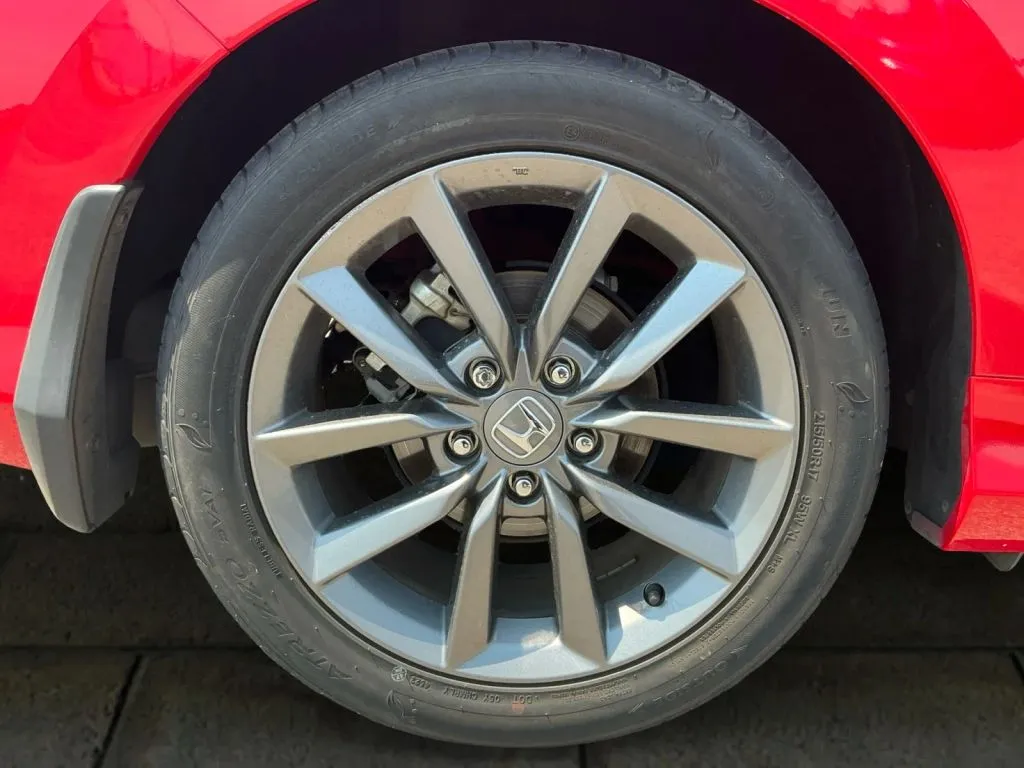 Photo 19