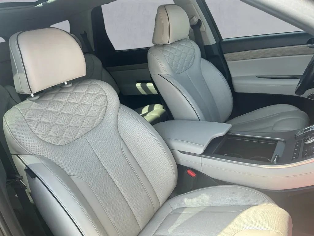 Hyundai Palisade photo 18