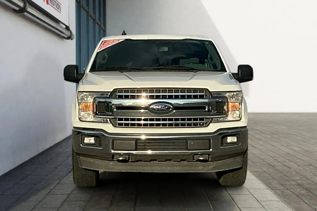 More photos of 2019 Ford F-150 SuperCrew Cab XLT Pickup 4D 5 1/2 ft at Drive N-Motion Rio Rancho, NM