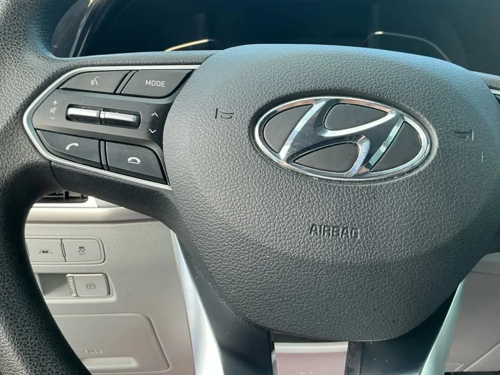Hyundai Palisade photo 28