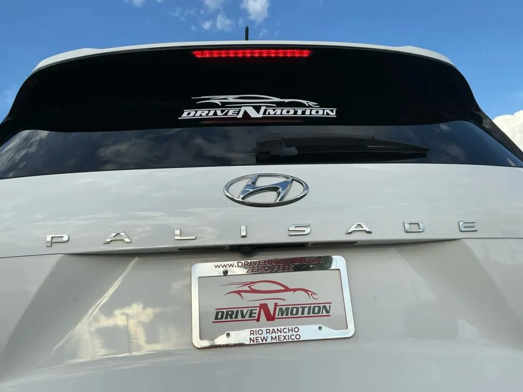 Hyundai Palisade photo 19