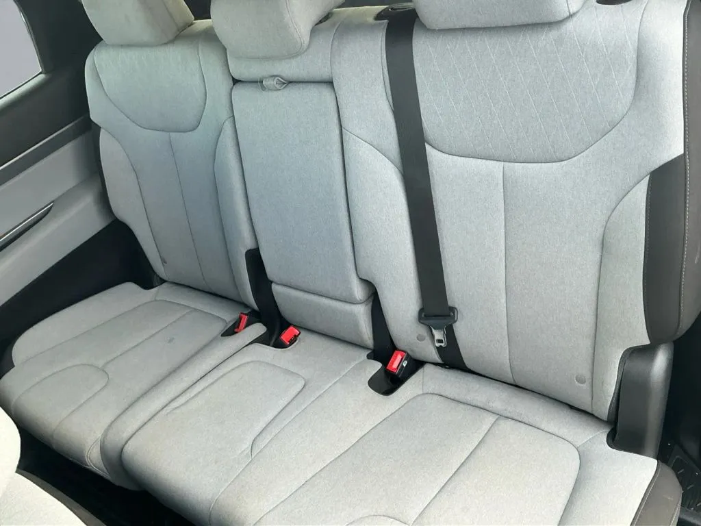 Hyundai Palisade photo 15