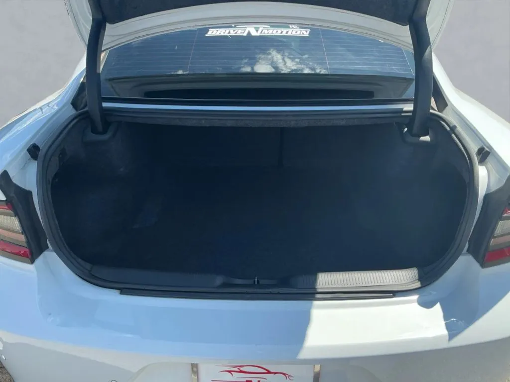 Dodge Charger photo 16