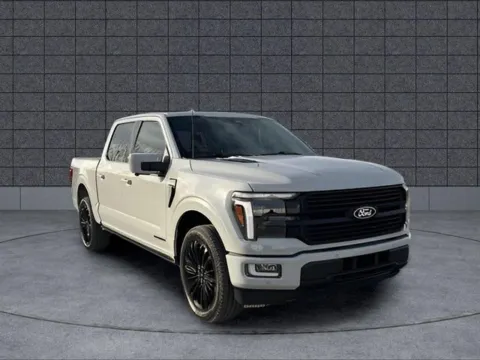 Gray 2024 Ford F-150 Platinum for sale in Independence, KS