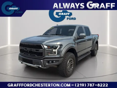 Gray 2019 Ford F-150 Raptor for sale in Chesterton, IN