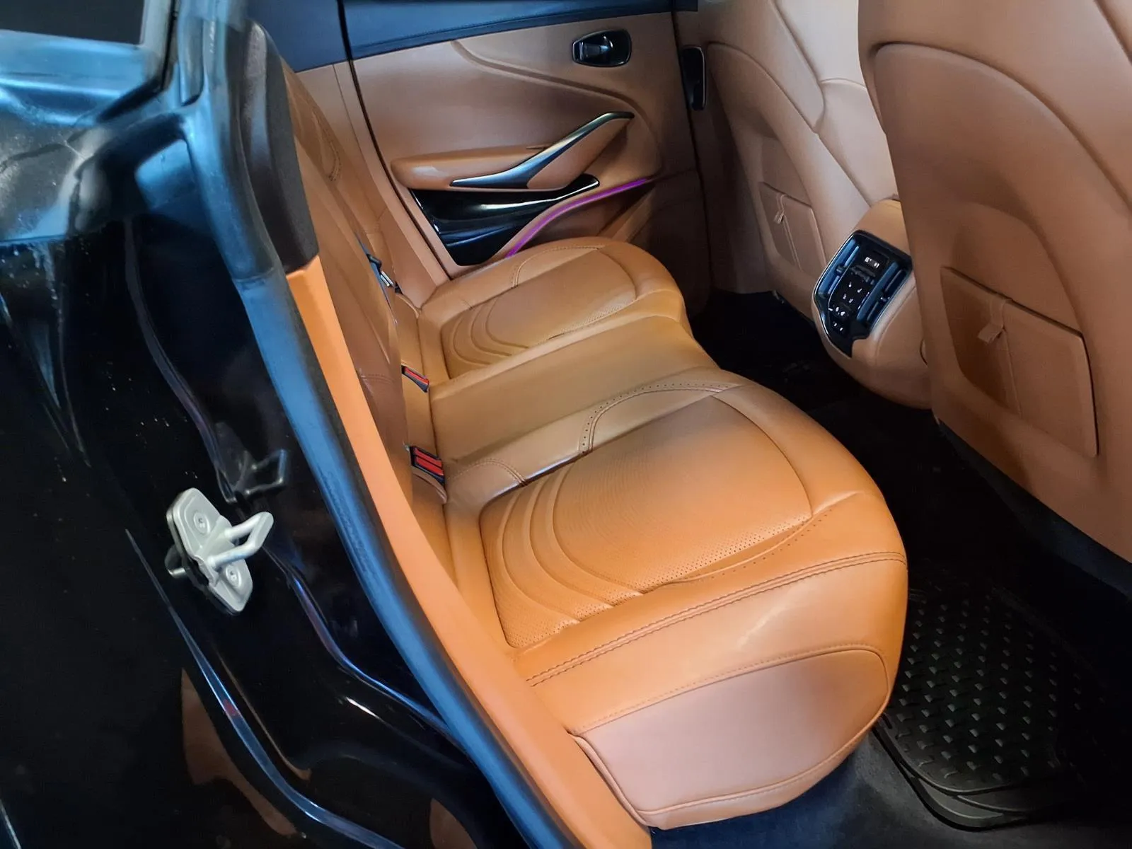 Aston Martin DBX photo 11