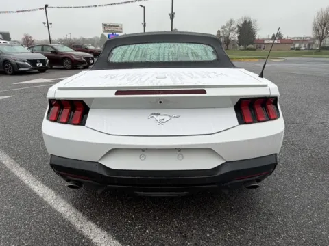 More photos of 2024 Ford Mustang EcoBoost Premium at AI Certified Used Cars, MD