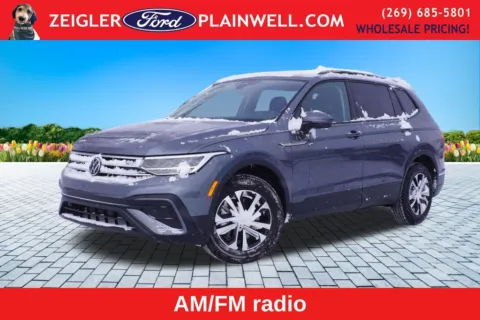 Gray 2024 Volkswagen Tiguan 2.0T S for sale in Plainwell, MI