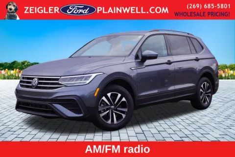 Gray 2024 Volkswagen Tiguan 2.0T S for sale in Plainwell, MI