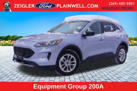 Silver 2022 Ford Escape SE for sale in Plainwell, MI