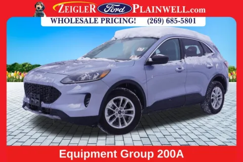 Silver 2022 Ford Escape SE for sale in Plainwell, MI
