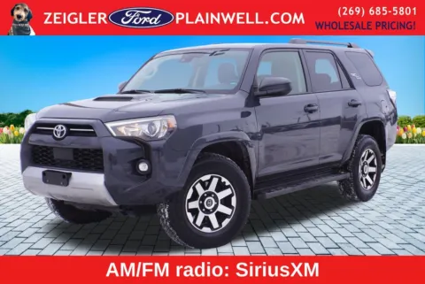 Gray 2024 Toyota 4Runner TRD Off-Road for sale in Plainwell, MI