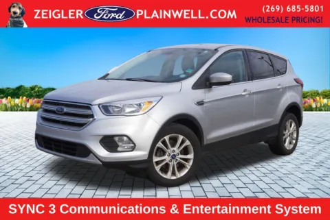 Silver 2019 Ford Escape SE for sale in Plainwell, MI