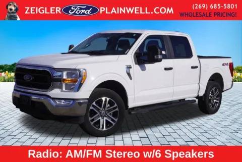 Gray 2022 Ford F-150 XLT for sale in Plainwell, MI