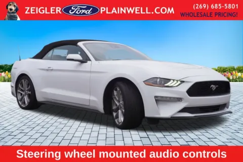 More photos of 2022 Ford Mustang EcoBoost Premium at Zeigler Ford of Plainwell, MI