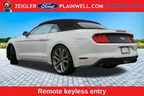 More photos of 2022 Ford Mustang EcoBoost Premium at Zeigler Ford of Plainwell, MI