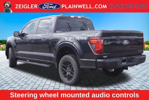 More photos of 2024 Ford F-150 STX at Zeigler Ford of Plainwell, MI