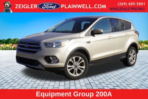 White 2017 Ford Escape SE for sale in Plainwell, MI