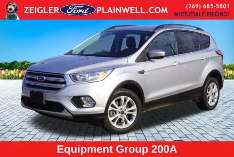 Silver 2018 Ford Escape SE for sale in Plainwell, MI