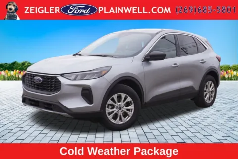 Silver 2024 Ford Escape Active for sale in Plainwell, MI