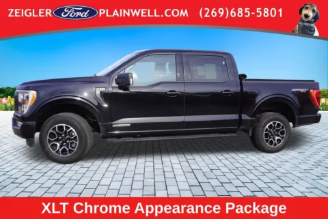 Another view of 2023 Ford F-150 XLT for sale in Plainwell, MI at Zeigler Ford of Plainwell