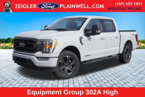 Gray 2023 Ford F-150 XLT for sale in Plainwell, MI