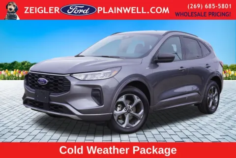 Gray 2024 Ford Escape ST-Line for sale in Plainwell, MI