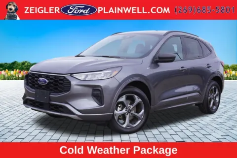 Gray 2024 Ford Escape ST-Line for sale in Plainwell, MI