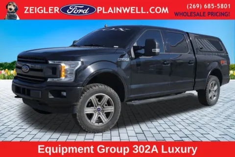 Black 2019 Ford F-150 XLT for sale in Plainwell, MI