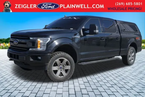 Black 2019 Ford F-150 XLT for sale in Plainwell, MI