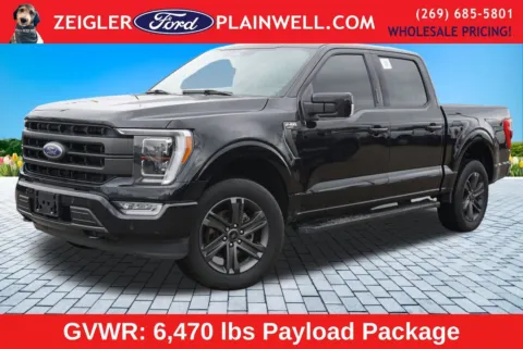 Black 2023 Ford F-150 XL for sale in Plainwell, MI