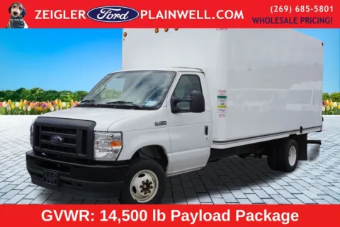 White 2024 Ford E-450SD for sale in Plainwell, MI