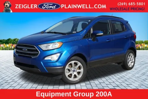 Blue 2018 Ford EcoSport SE for sale in Plainwell, MI