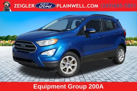Blue 2018 Ford EcoSport SE for sale in Plainwell, MI