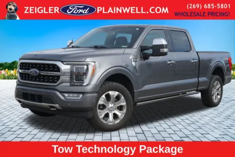 Gray 2022 Ford F-150 Platinum for sale in Plainwell, MI