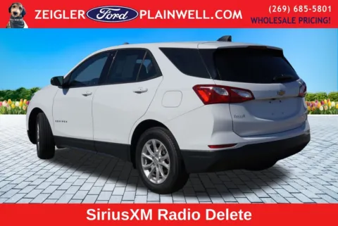 Another view of 2019 Chevrolet Equinox LS for sale in Plainwell, MI at Zeigler Ford of Plainwell