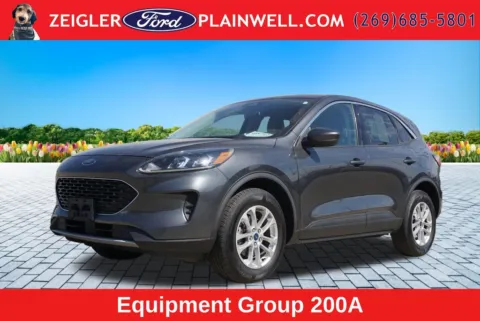 Gray 2020 Ford Escape SE for sale in Plainwell, MI