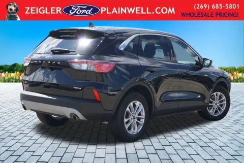 More photos of 2022 Ford Escape SE at Zeigler Ford of Plainwell, MI