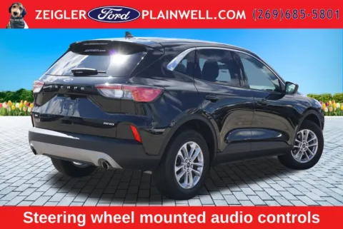 More photos of 2022 Ford Escape SE at Zeigler Ford of Plainwell, MI